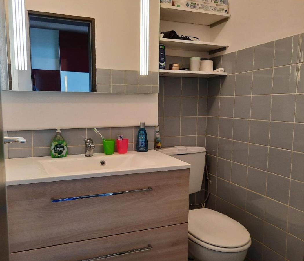 Ute Am Geyersberg Inkl Aktivcard Bayrischer Wald Appartement *